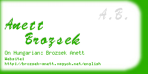 anett brozsek business card